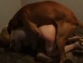 Cachorro metendo pau na xoxota da vadia no chão