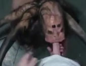 Aranha boqueteira porno bizarro escroto