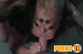 aranha sexo oral boqueteira